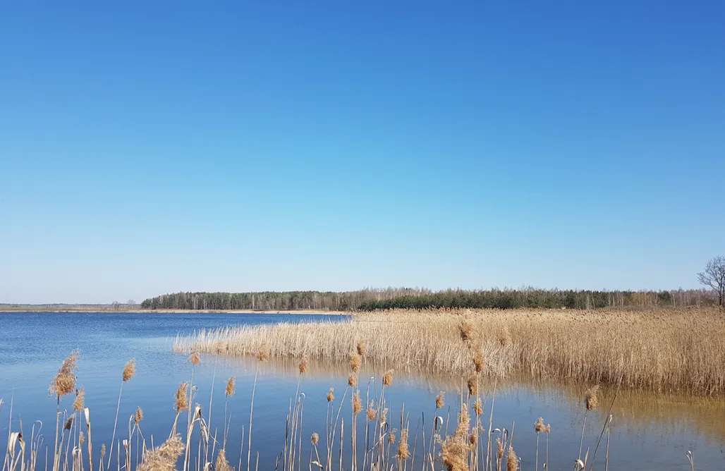 AlohaCamp tipi 4 os 1