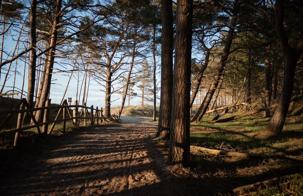 noclegi AlohaCamp Harmony Hill 1