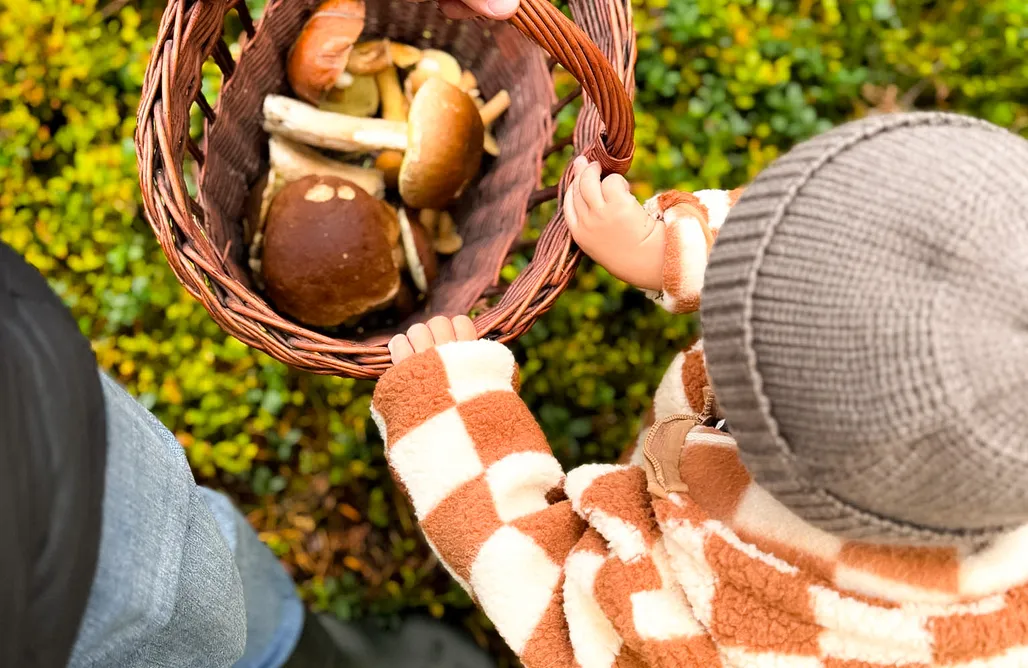 AlohaCamp POKÓJ DWUOSOBOWY 2 dorosłych + 0 dzieci 1