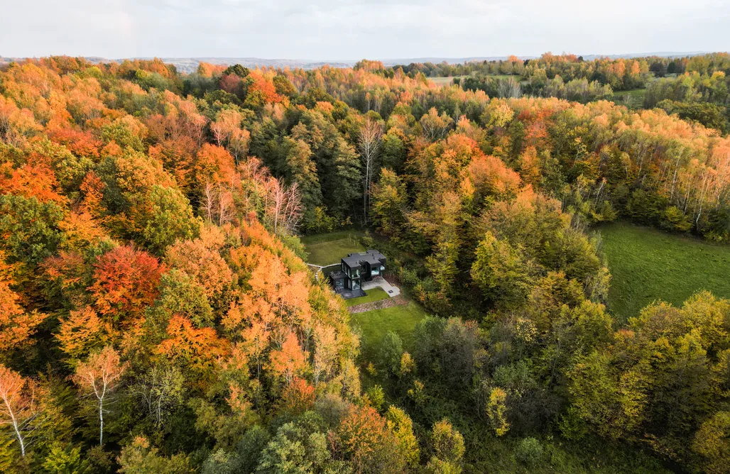 Rezerwat Przyrody Bagno Przecławskie Forrest Space - nowoczesny dom w środku lasu 3