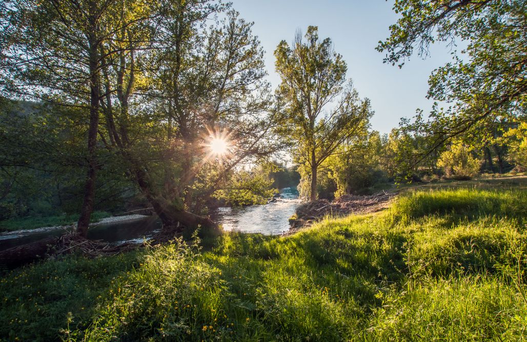 AlohaCamp Aguas Frías II 1