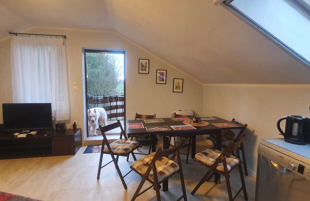 AlohaCamp Apartament 5-osobowy 1