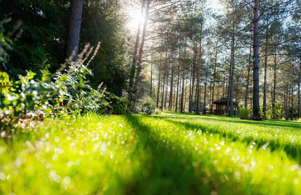 noclegi AlohaCamp Willa Leśna Strzecha 1