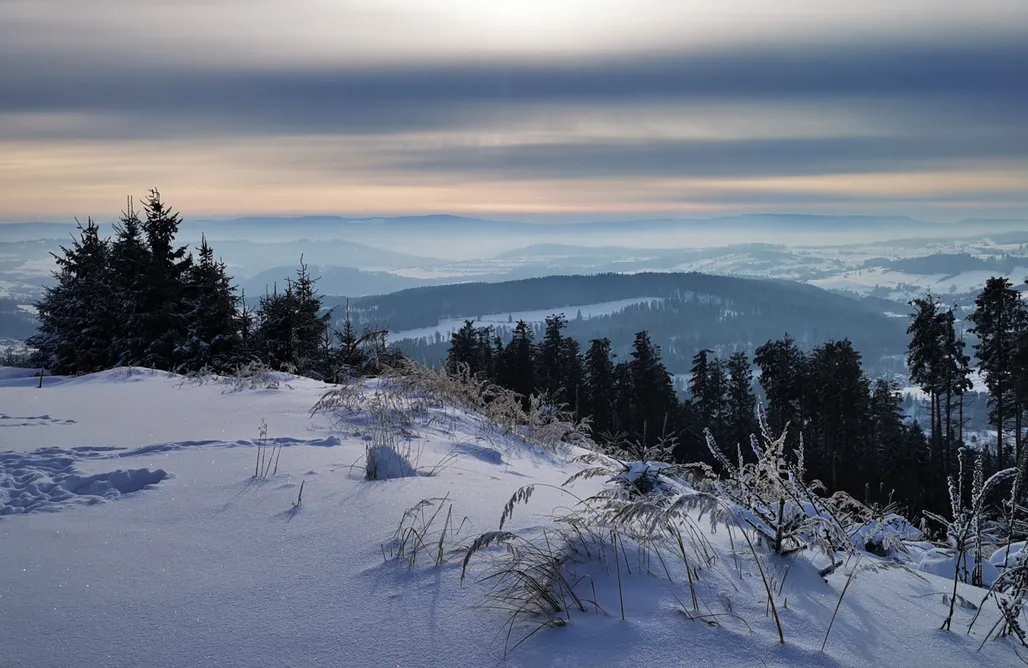 Unterkunft AlohaCamp Sowie Chatki - domki z widokiem w sercu  Gór Sowich  1