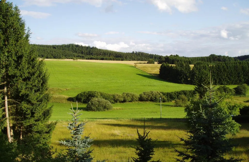 Unterkunft AlohaCamp Eifelcottage Storchennest 4