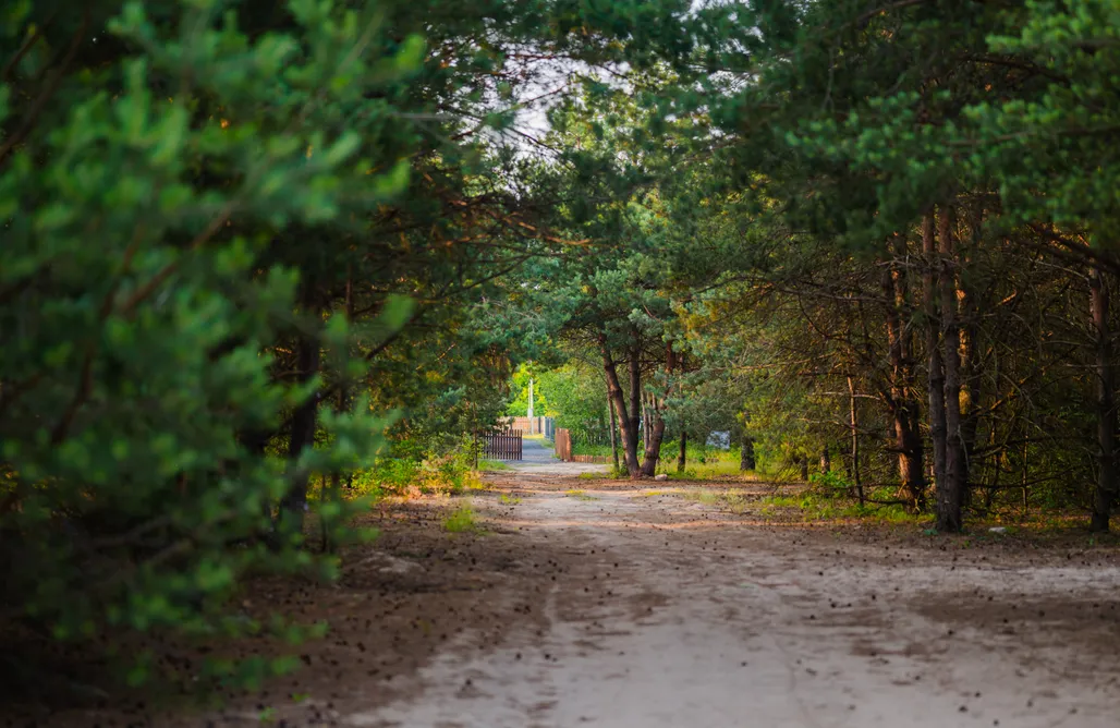 Osada Helenów AlohaCamp