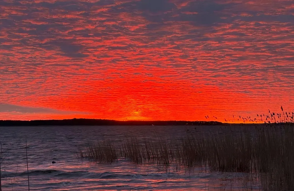 Hafenidyll am Peenestrom - Familienurlaub bis 14 Personen AlohaCamp