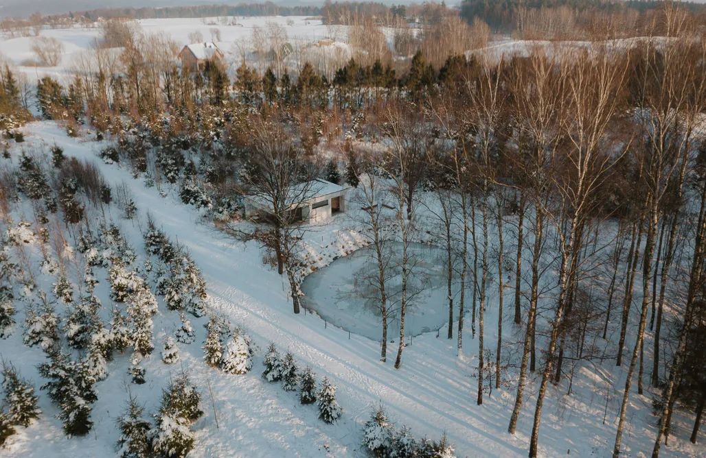 Alloggi AlohaCamp Leśny Apartament - Shuuumi Las 1