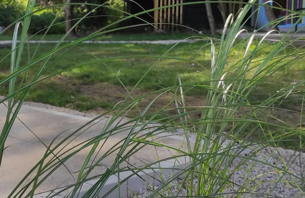 Wynajem Domków Letniskowych Źródlana Apartamenty 1