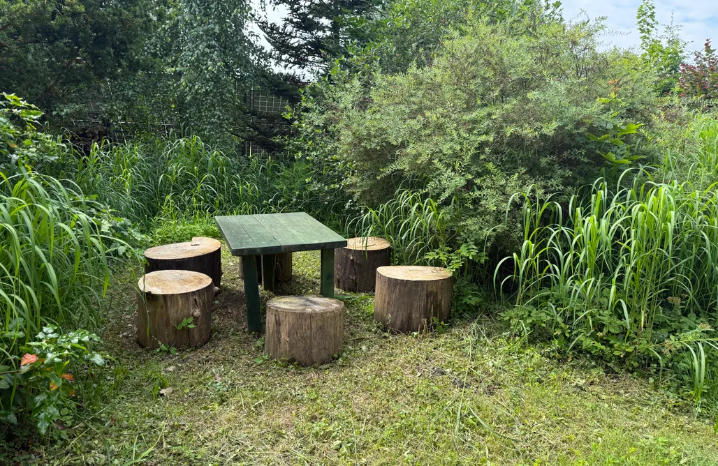 AlohaCamp  Mieszkanie w Chochlikowej Chacie 5 os. 1