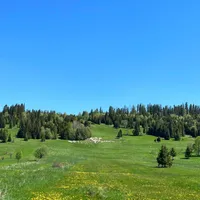 Małgorzata gospodarz Dom pod Wierzbami