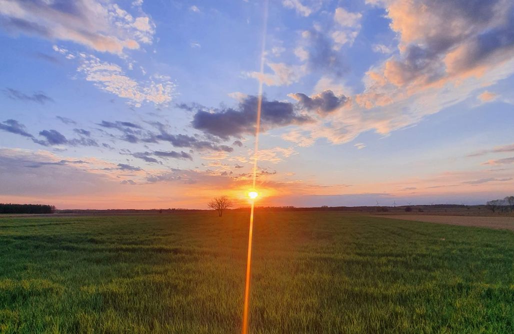 AlohaCamp Podlaskie Siedlisko - dom C 1