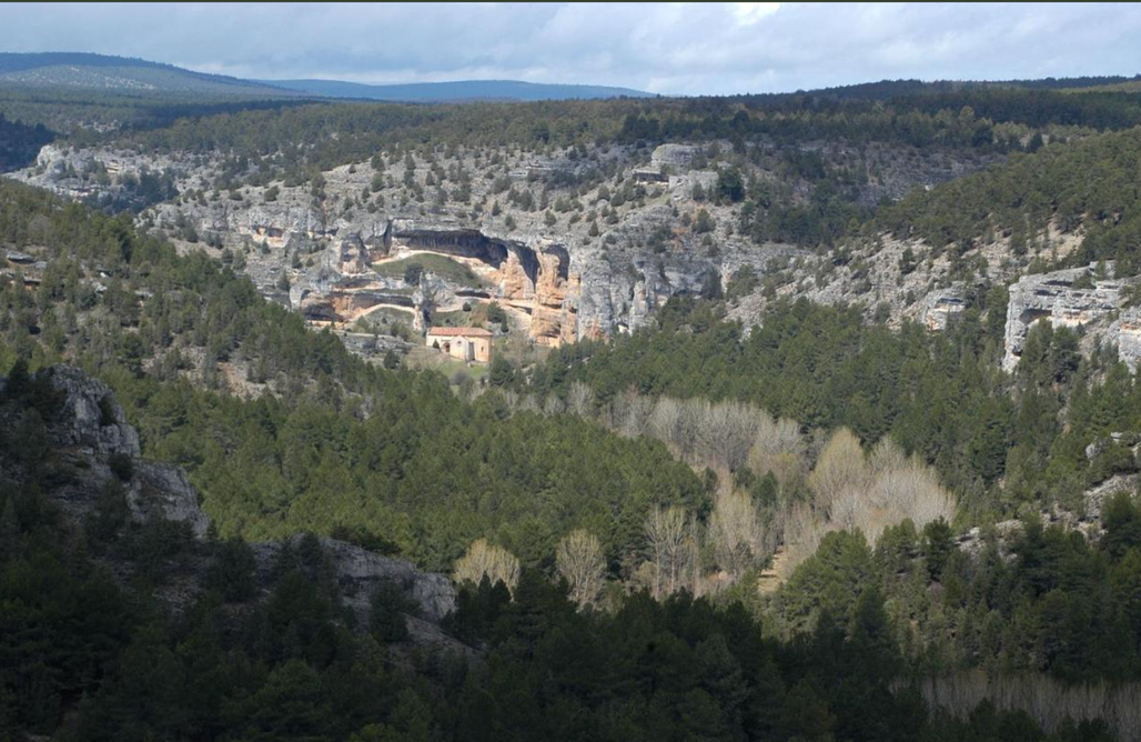 AlohaCamp Habitación doble  1