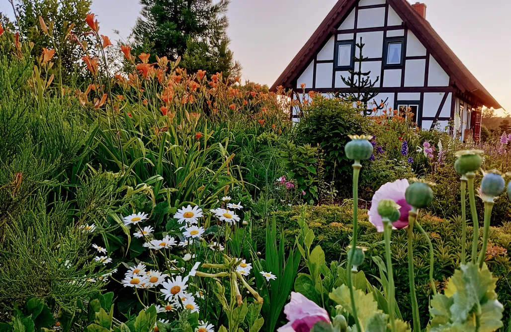 AlohaCamp accommodation Podroże Chëcz 3