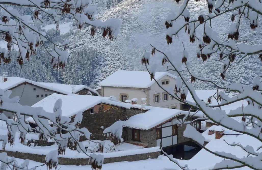 alojamientos AlohaCamp Posada Valle del Oso 1