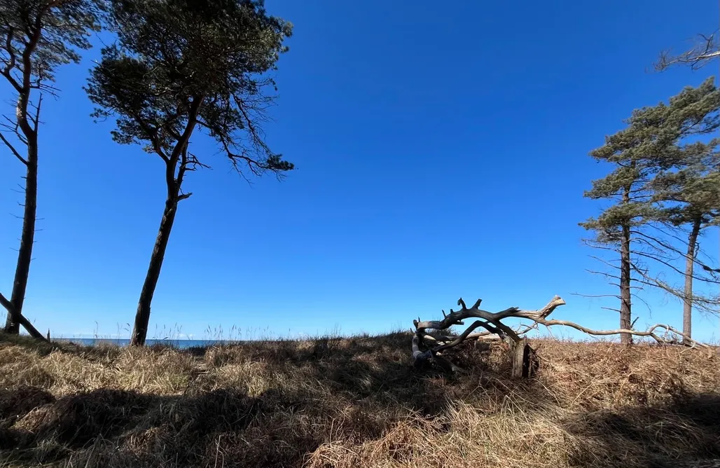 Ankerbuk Schwarzes Haus AlohaCamp