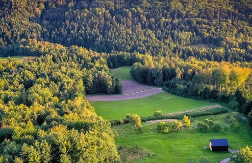 Imagen de Czas i Las