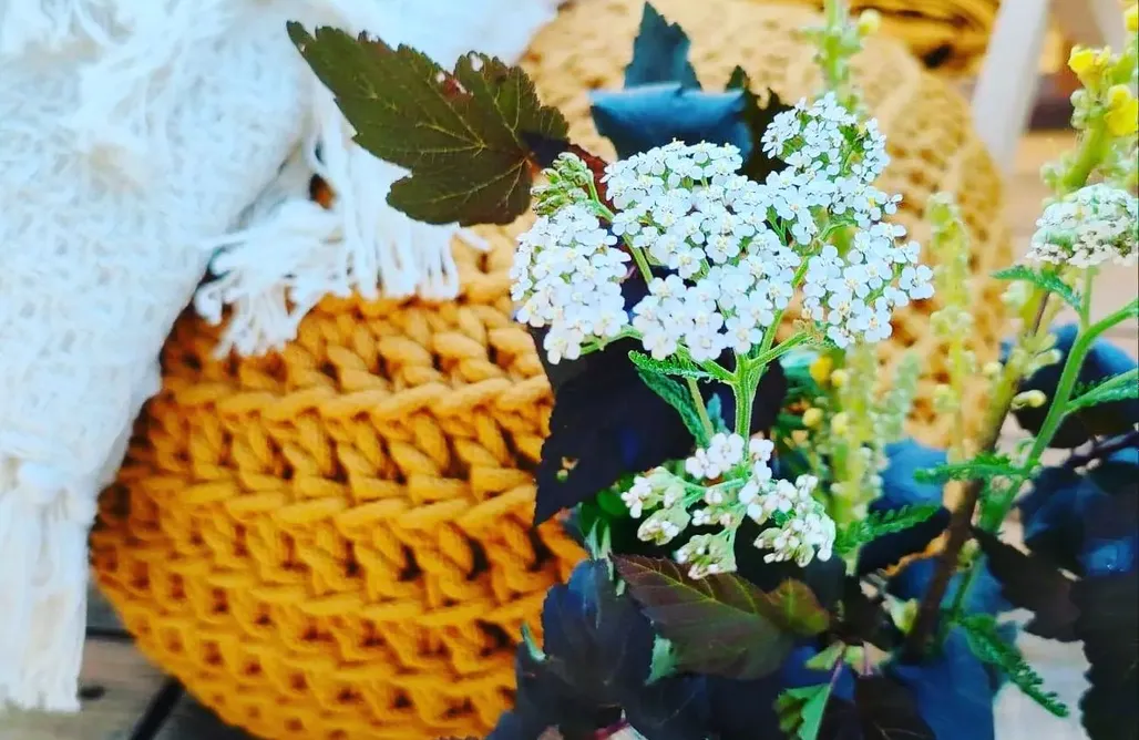 noclegi AlohaCamp Puszcza Glamping 1