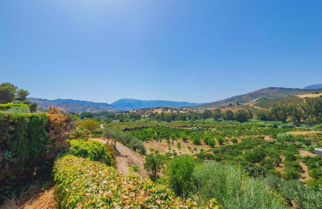 AlohaCamp Casa Rio Grande 1