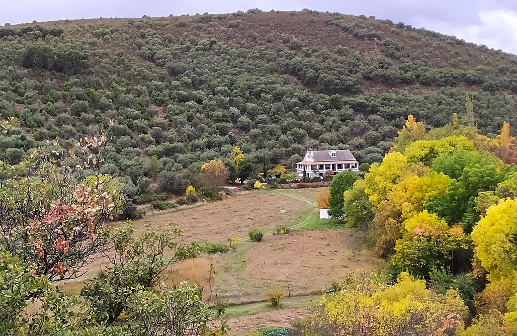 Alquiler Cabaña Montaña Casa Rural Hoz de la Pinilla 2