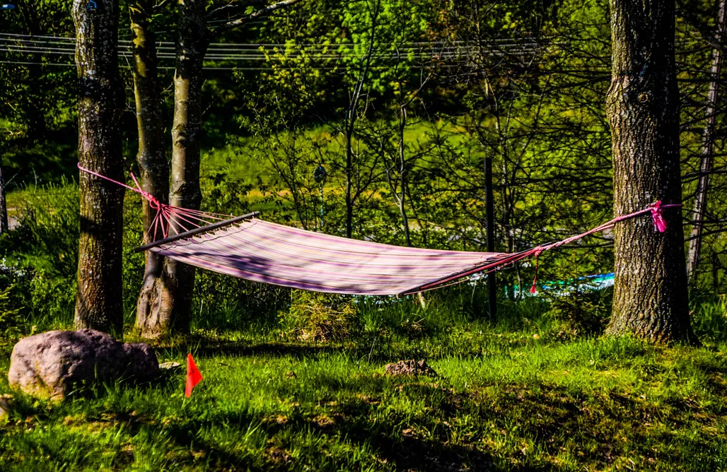 Domki Łeba Ptasia Osada - Dom Kwokacz 3