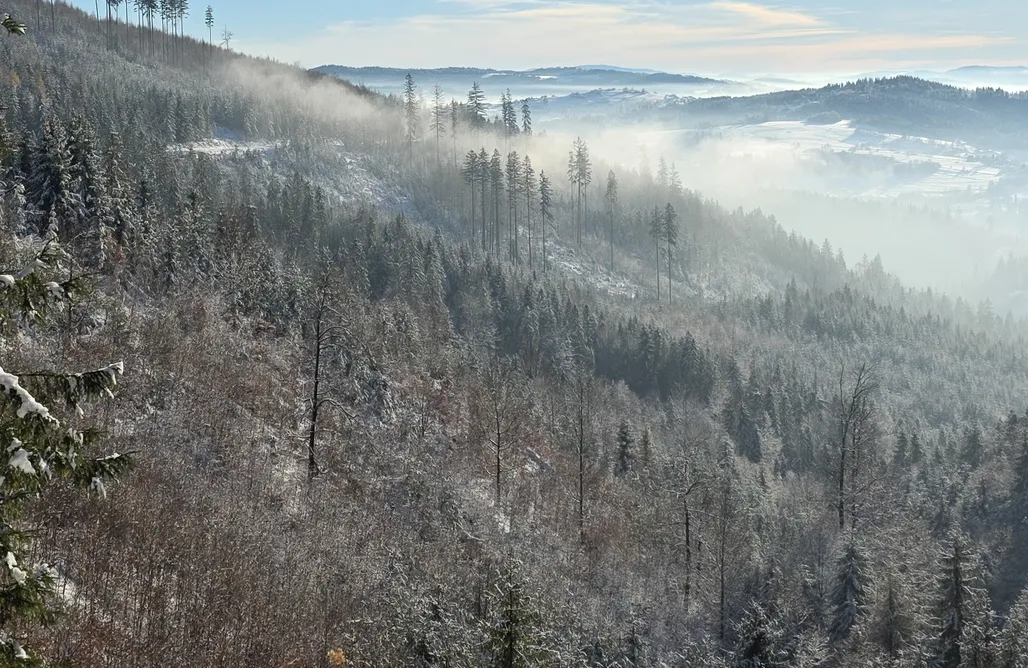 Bliżej do nieba  AlohaCamp