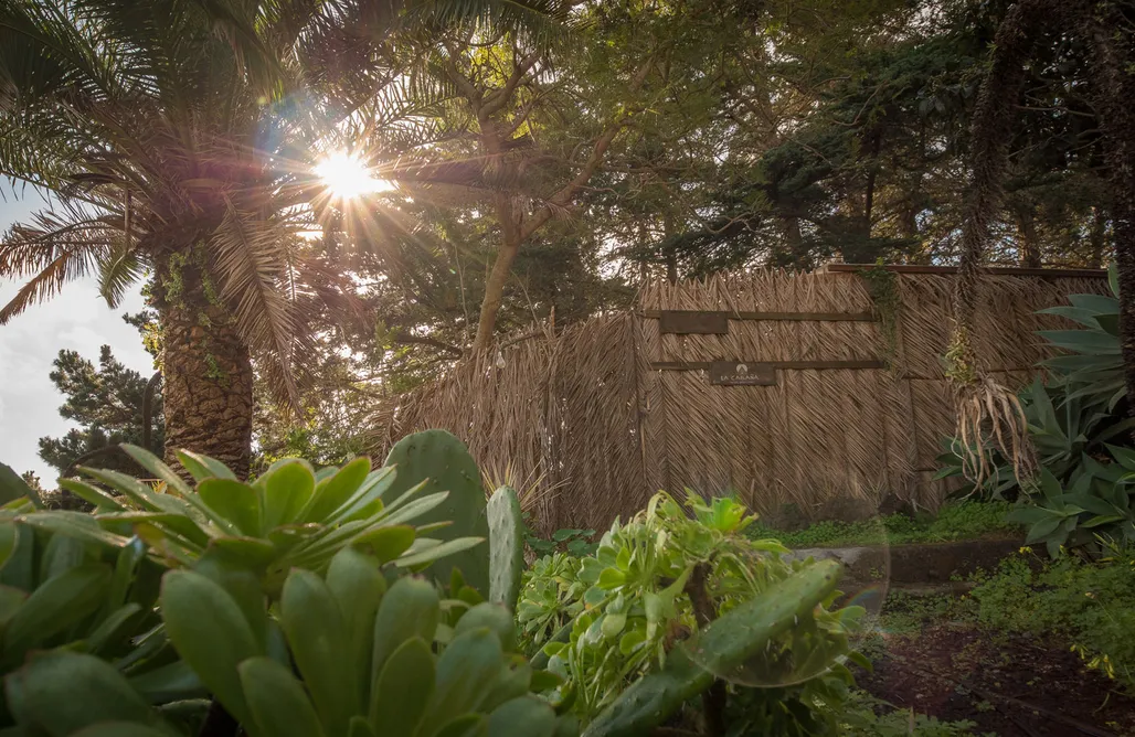 AlohaCamp The Glamping 1