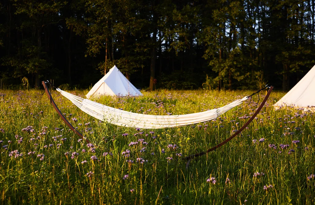 alojamientos AlohaCamp Bosco glamping 4