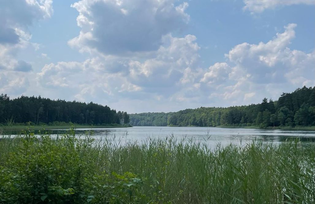 AlohaCamp Bieleniówka - dom z trzema sypialniami 1