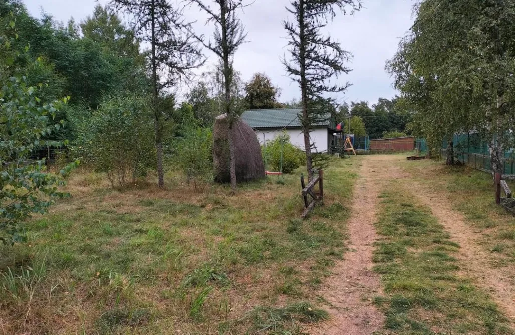 Silvester Kurztrip Leśna Chata 1