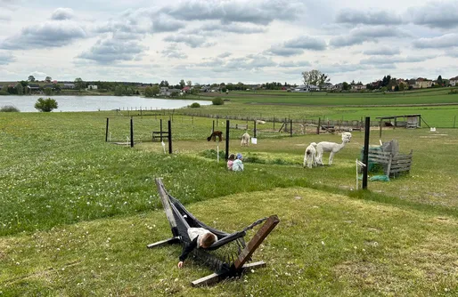Zdjęcie obiektu SeliRaj - Zwierzaki, Natura i Prywatne Jezioro na Kaszubach