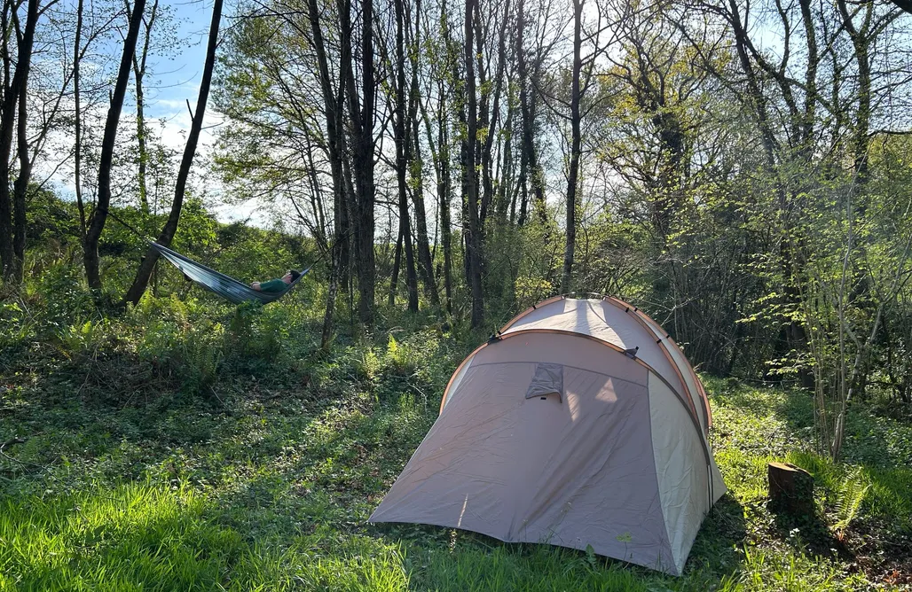 AlohaCamp Sitio para caravanas, autocaravanas y tiendas. 4