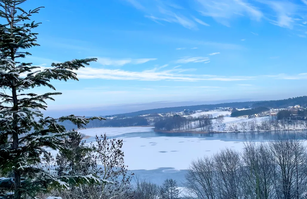 AlohaCamp accommodaties Złoty, a Skromny - Jacuzzi z Panoramą 5