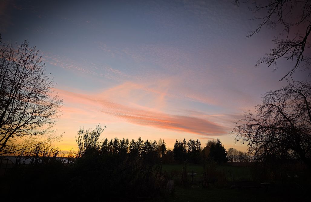 hebergement AlohaCamp Kampinski Spichlerz  1