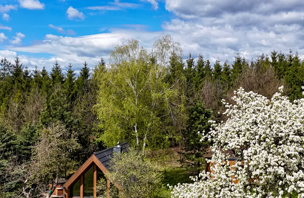 AlohaCamp Zalesie Łany 1