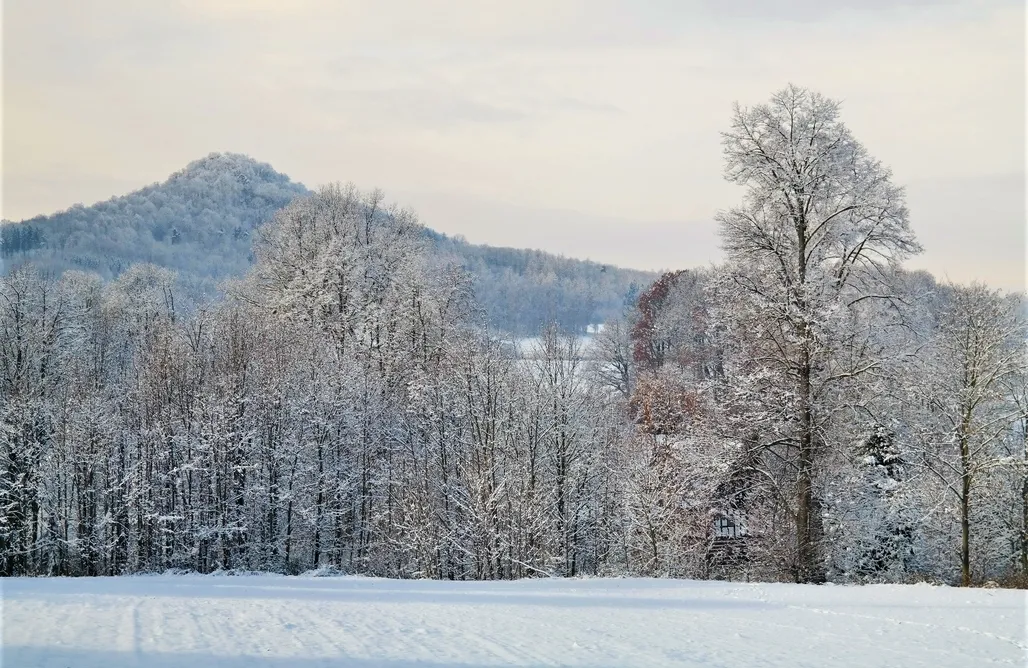 Chocianów noclegi Chatka zimorodka 1