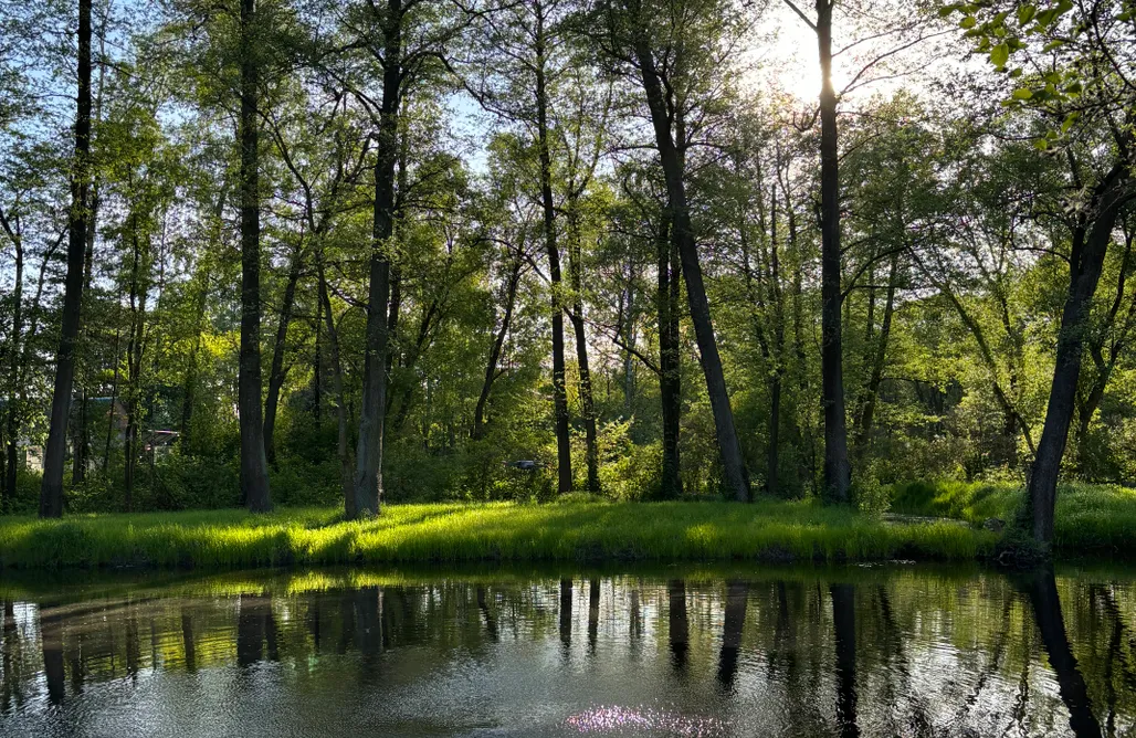 AlohaCamp Ostoja Rakówiec 1
