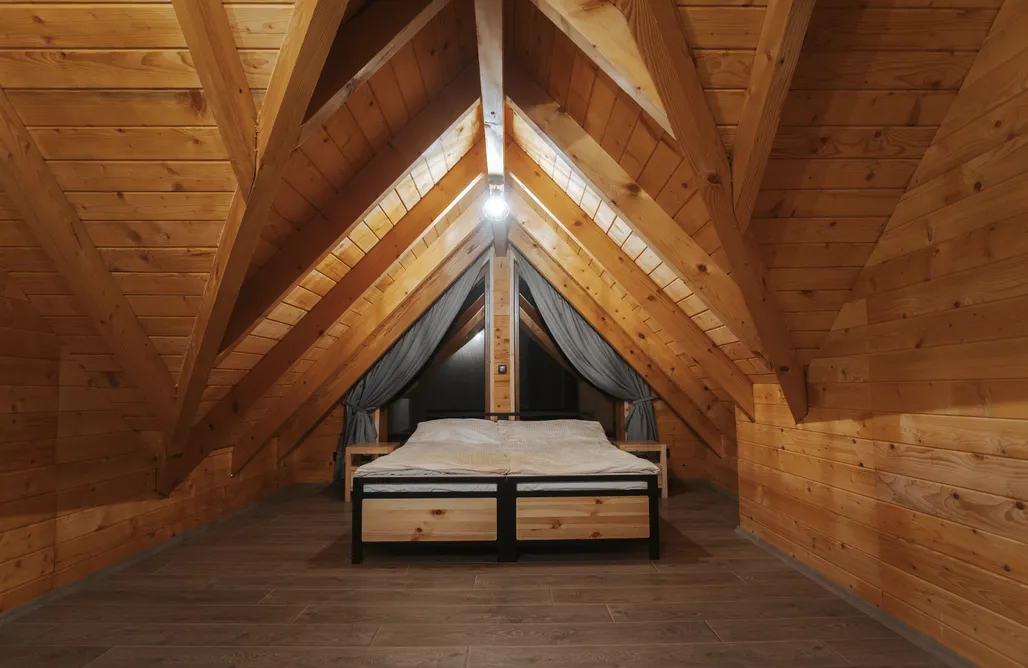 AlohaCamp RzepniGaj - Jawor 2