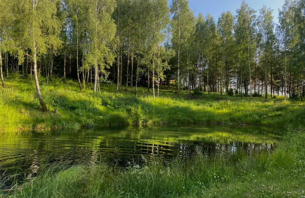 AlohaCamp Leśne Klimaty 1