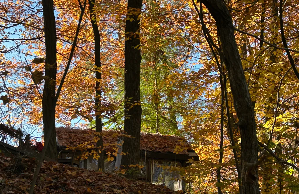 Hébergement AlohaCamp Waldfloß Biberspur 4