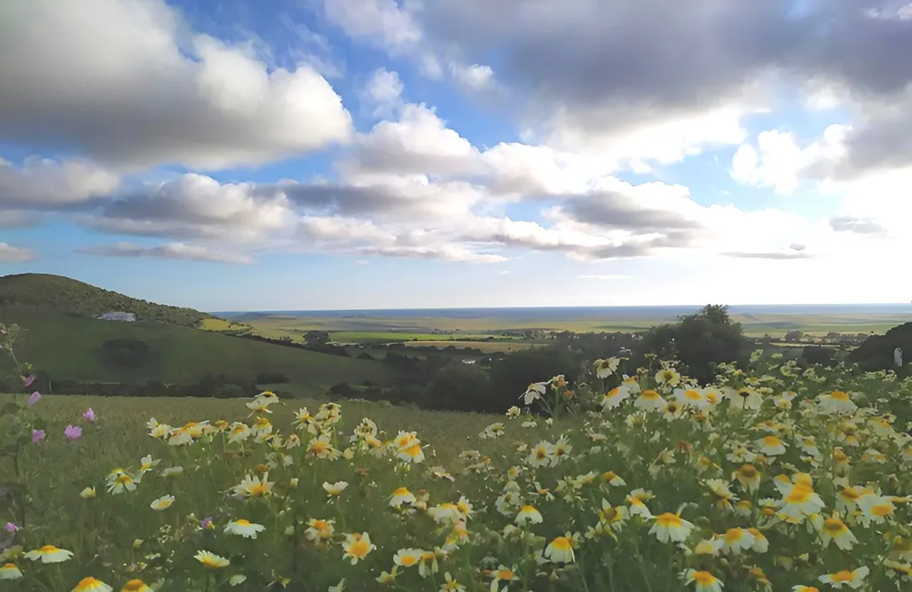 Unterkunft AlohaCamp Petirrojo Cabañas 1