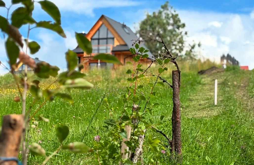 noclegi AlohaCamp Domki pod Bachledówką 2