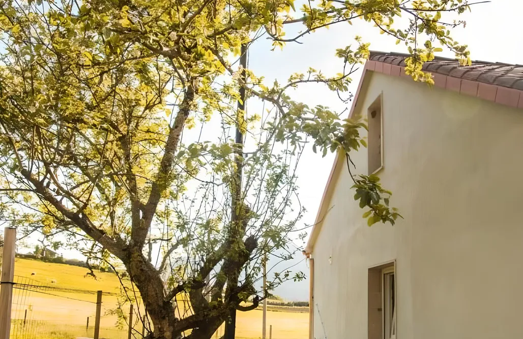 Cabaña Romántica Para Pareja Casa O Souto 3