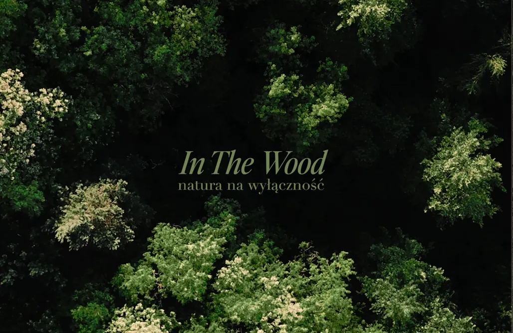 Unterkunft AlohaCamp In The Wood - Drewniany Domek z Netflixem 1