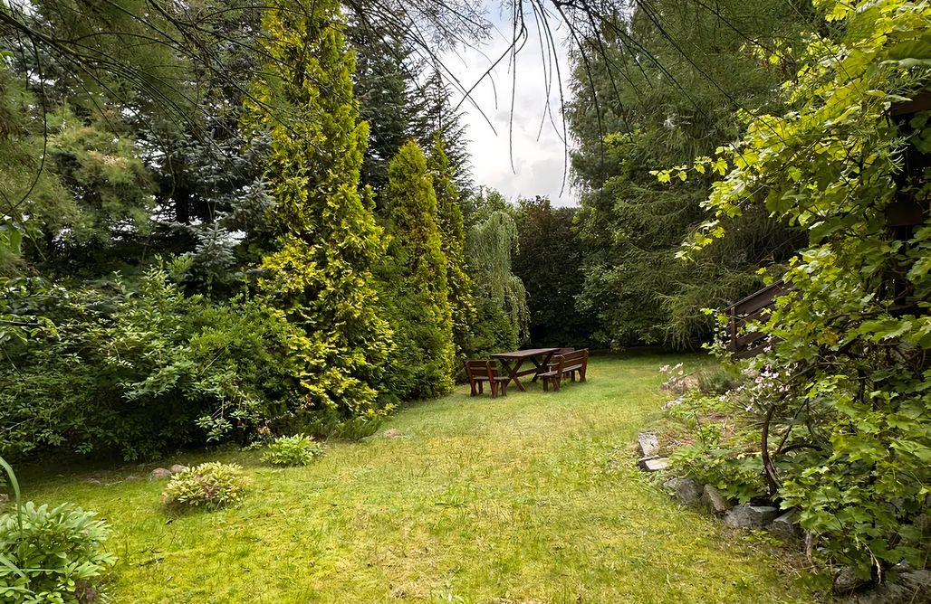 Tanie Noclegi Olsztyn Magiczny 1