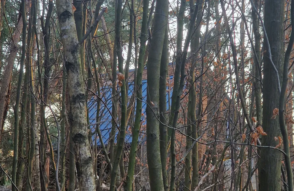 Swobodnia - domek z wanną z widokiem na las AlohaCamp