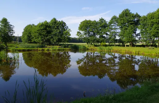 Zdjęcie obiektu Bębnikąt Osada Leśna w Puszczy Noteckiej