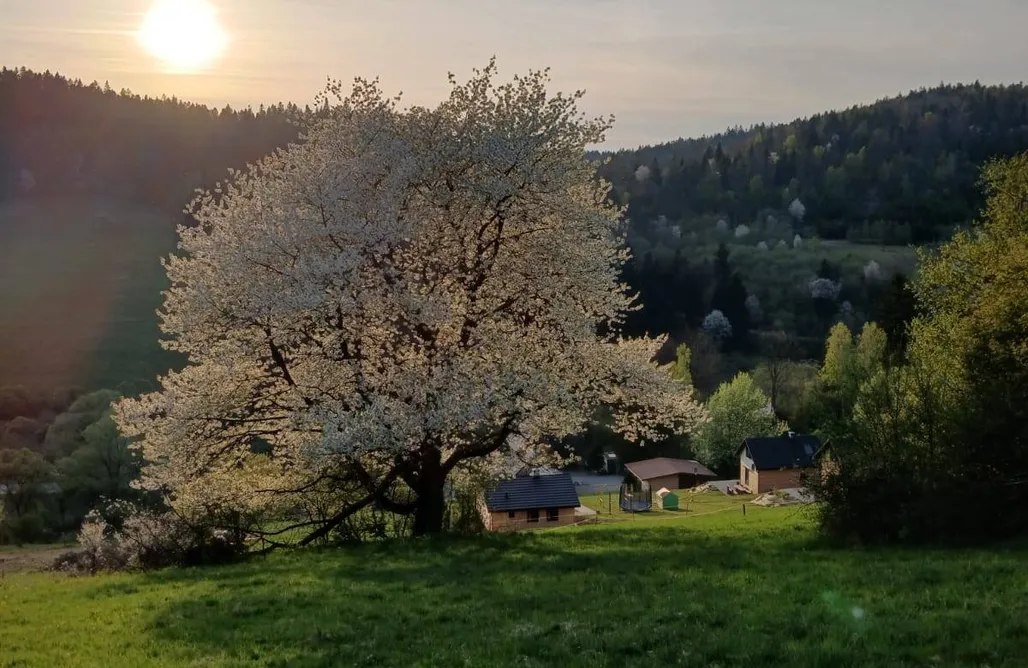 Bielice noclegi Leśny Dzban 1
