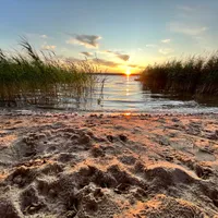 Joanna gospodarz Domy w Wycinkach