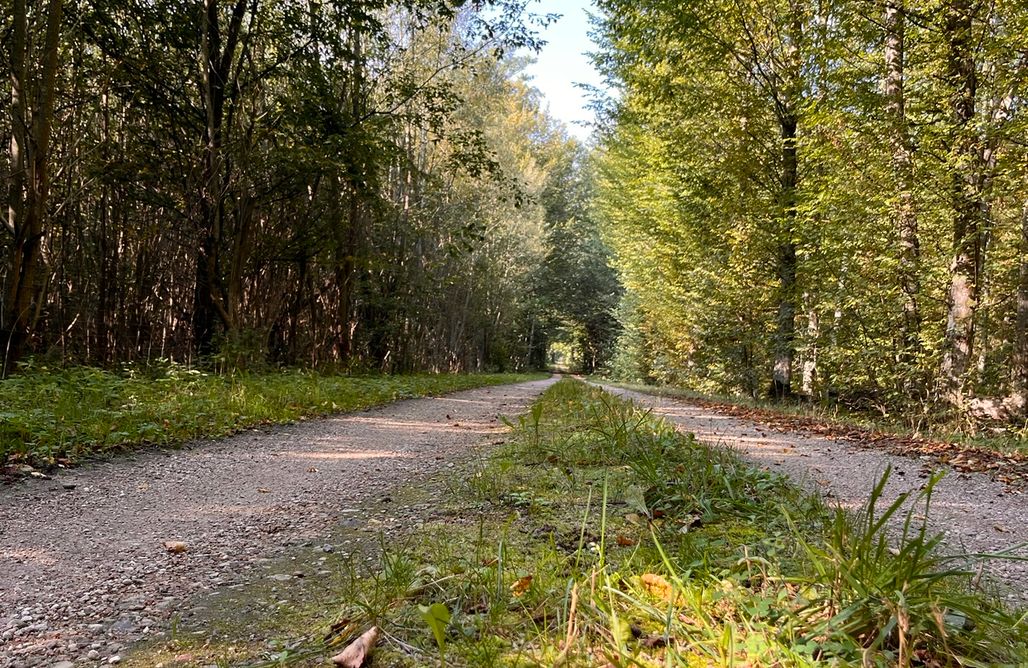 noclegi AlohaCamp Brzozowy Zakątek 1